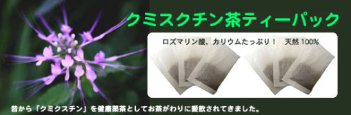 クミスクチン茶